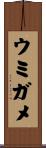 ウミガメ Scroll