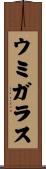 ウミガラス Scroll