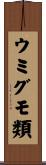 ウミグモ類 Scroll