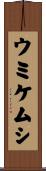ウミケムシ Scroll