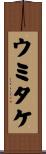 ウミタケ Scroll