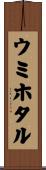 ウミホタル Scroll