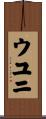 ウユニ Scroll