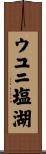 ウユニ塩湖 Scroll