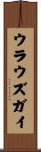 ウラウズガイ Scroll