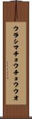 ウラシマチョウチョウウオ Scroll