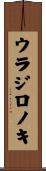ウラジロノキ Scroll