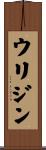 ウリジン Scroll