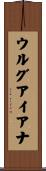ウルグアイアナ Scroll