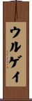 ウルゲイ Scroll