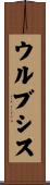 ウルブシス Scroll