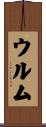 ウルム Scroll