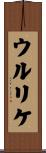 ウルリケ Scroll