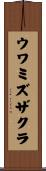 ウワミズザクラ Scroll