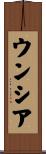 ウンシア Scroll