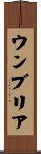 ウンブリア Scroll