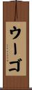 ウーゴ Scroll