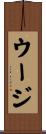 ウージ Scroll