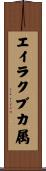 エイラクブカ属 Scroll