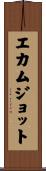 Ekamjot Scroll