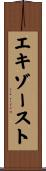 エキゾースト Scroll