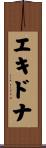 エキドナ Scroll
