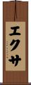 エクサ Scroll