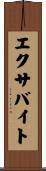 エクサバイト Scroll