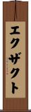 エクザクト Scroll