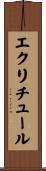 エクリチュール Scroll