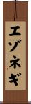 エゾネギ Scroll