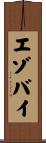 エゾバイ Scroll