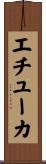 エチューカ Scroll