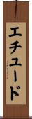 エチュード Scroll