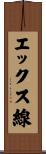 エックス線 Scroll