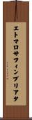 エトマロサフィンブリアタ Scroll