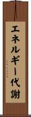 エネルギー代謝 Scroll