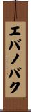 エバノバク Scroll