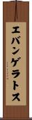 エバンゲラトス Scroll
