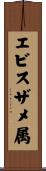 エビスザメ属 Scroll