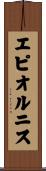 エピオルニス Scroll
