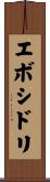 エボシドリ Scroll