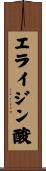 エライジン酸 Scroll