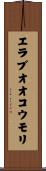 エラブオオコウモリ Scroll