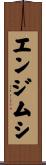エンジムシ Scroll