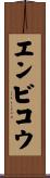 エンビコウ Scroll