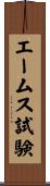 エームス試験 Scroll