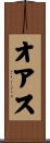 オアス Scroll