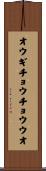 オウギチョウチョウウオ Scroll