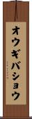 オウギバショウ Scroll